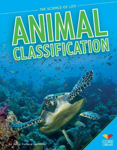 Beispielbild fr Animal Classification zum Verkauf von Better World Books