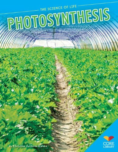 Stock image for Photosynthesis for sale by Better World Books