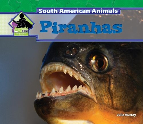 9781624031915: Piranhas (South American Animals)