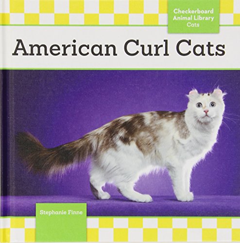Stock image for American Curl Cats (Cats Set 8) for sale by More Than Words