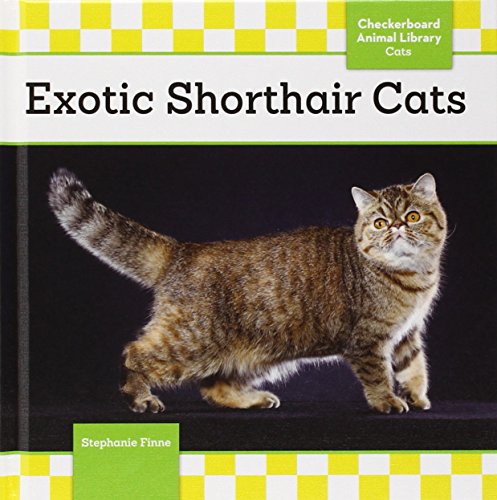 Stock image for Exotic Shorthair Cats for sale by Better World Books
