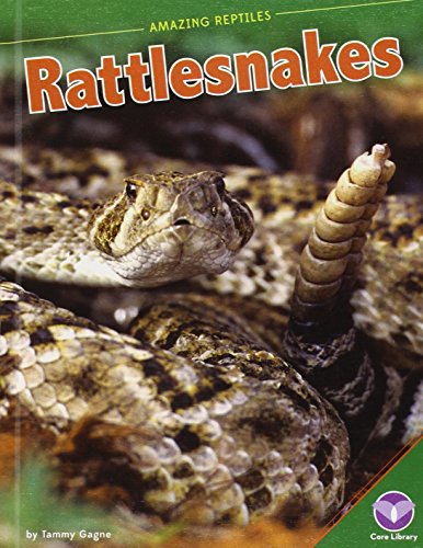 9781624033742: Rattlesnakes (Amazing Reptiles)
