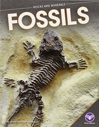 Imagen de archivo de Fossils (Rocks and Minerals (Hardcover)) a la venta por Booksavers of MD