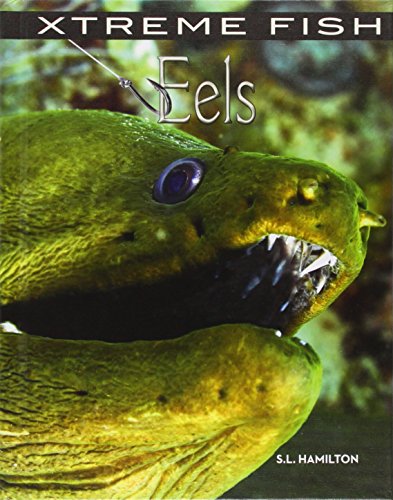 Beispielbild fr Eels zum Verkauf von Better World Books