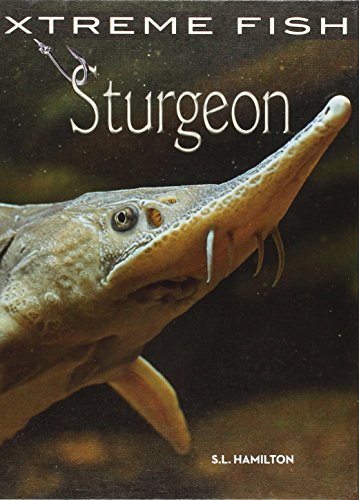Beispielbild fr Sturgeon (Xtreme Fish) zum Verkauf von HPB Inc.