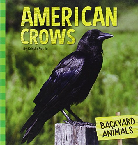 Beispielbild fr American Crows zum Verkauf von Better World Books