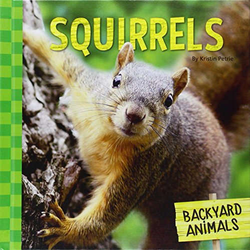 9781624036637: Squirrels (Backyard Animals)