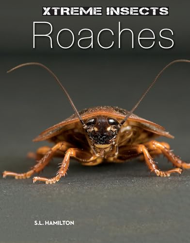 9781624036910: Roaches