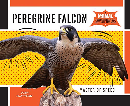 Stock image for Peregrine Falcon : Master of Speed for sale by Better World Books