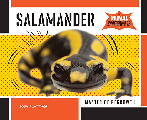 Stock image for Salamander: Master of Regrowth (Animal Superpowers) for sale by Irish Booksellers