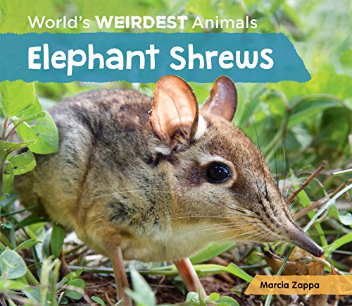 Stock image for Elephant Shrews for sale by Better World Books