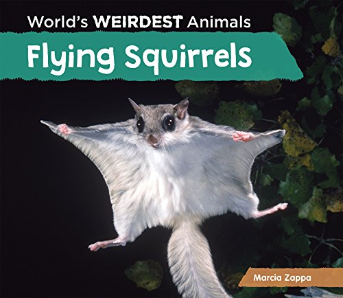 9781624037757: Flying Squirrels (World's Weirdest Animals)