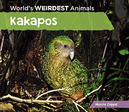 9781624037764: Kakapos (World's Weirdest Animals)