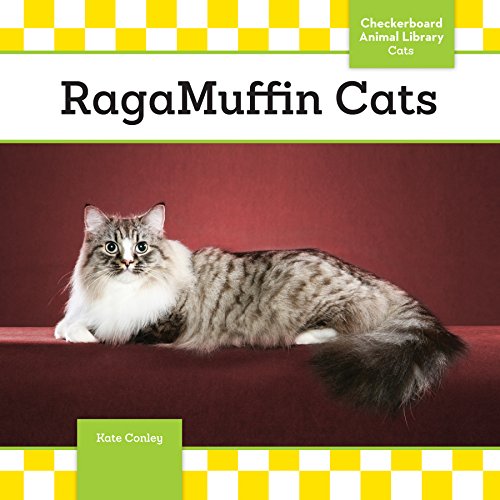 9781624038136: Ragamuffin Cats