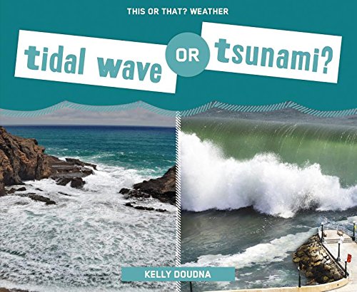 Imagen de archivo de Tidal Wave or Tsunami? a la venta por ThriftBooks-Atlanta