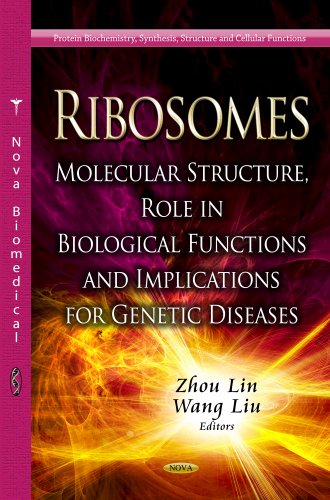 Stock image for RIBOSOMES MOLECULAR STRUCTURE (Protein Biochemistry, Synthesis, Structure and Cellular Functions) for sale by Prominent Books