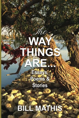 Stock image for The Way Things Are for sale by GF Books, Inc.