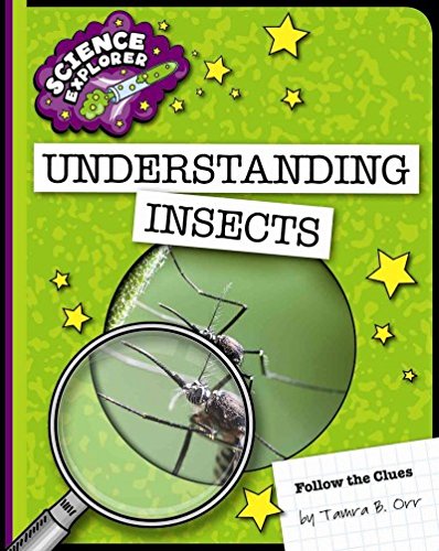 Stock image for Understanding Insects for sale by Better World Books