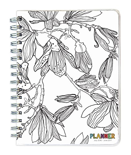 9781624385407: 2017 Academic Year COLOR ME Spiral Engagement Planner