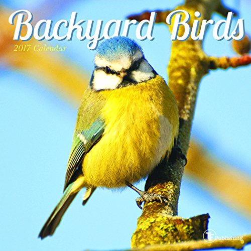 Beispielbild fr Backyard Birds 2017 Calendar zum Verkauf von Books Puddle