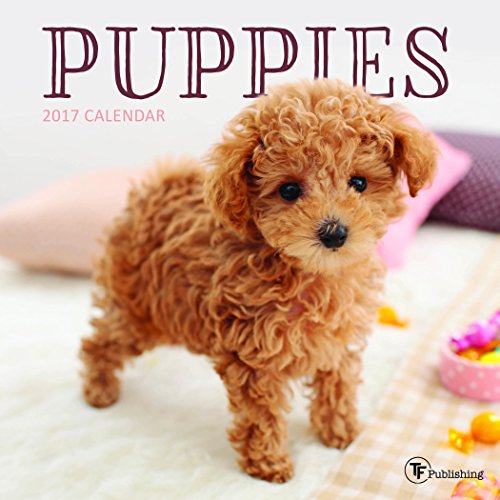 Imagen de archivo de 2017 Puppies Mini Calendar a la venta por Your Online Bookstore