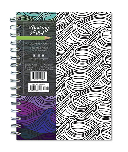 9781624389177: Aspiring Artist (Rainbow Collection Journals)