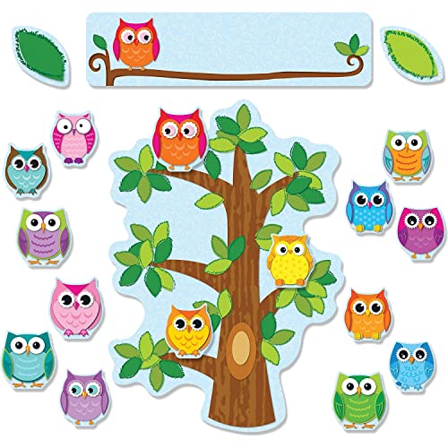 9781624420344: Colorful Owls Behavior Bulletin Board Set