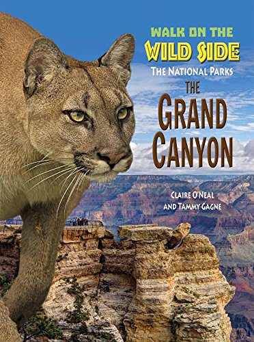 Stock image for Grand Canyon for sale by Better World Books