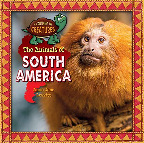 Beispielbild fr South America zum Verkauf von Better World Books