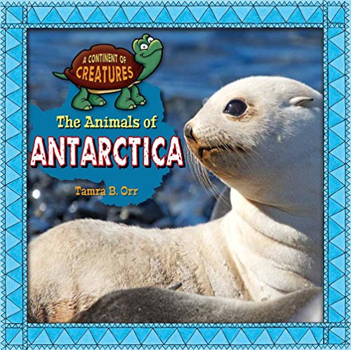 Beispielbild fr Antarctica zum Verkauf von Better World Books