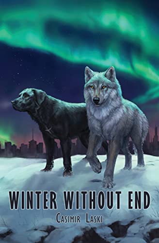 Stock image for Winter Without End for sale by GreatBookPrices