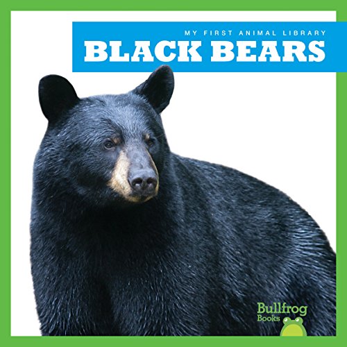 Stock image for Black Bears for sale by Better World Books