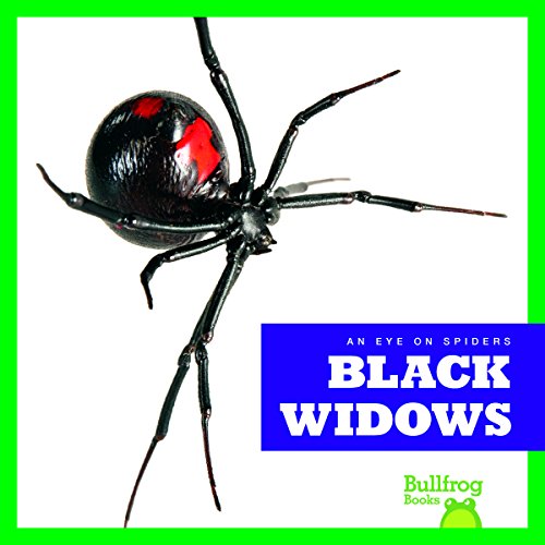 Stock image for Black Widows (Bullfrog Books: An Eye on Spiders) for sale by Jenson Books Inc