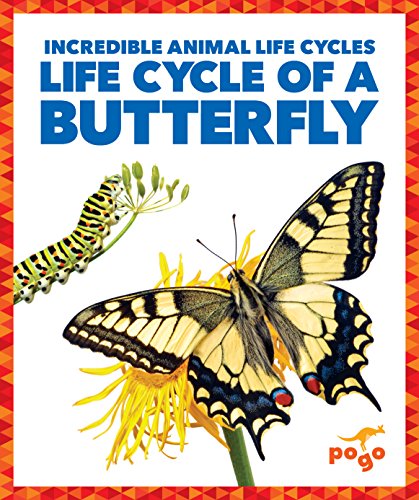 Beispielbild fr Life Cycle of a Butterfly zum Verkauf von Better World Books