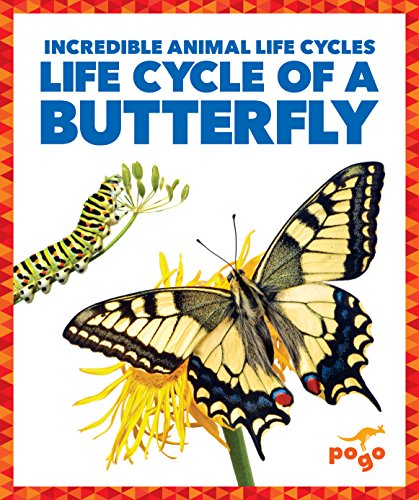 Stock image for Life Cycle of a Butterfly for sale by ThriftBooks-Dallas
