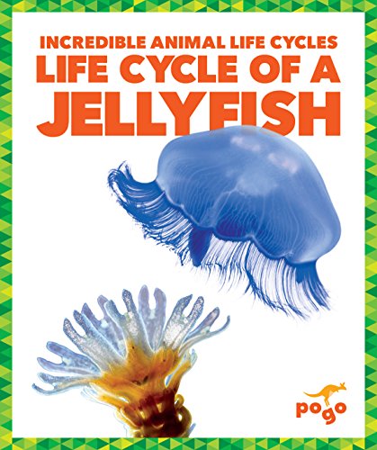 Beispielbild fr Life Cycle of a Jellyfish zum Verkauf von Better World Books