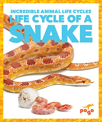 Stock image for Life Cycle of a Snake (Pogo Books: Incredible Animal Life Cycles) for sale by More Than Words