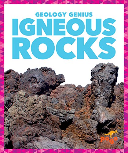 Stock image for Igneous Rocks for sale by ThriftBooks-Dallas