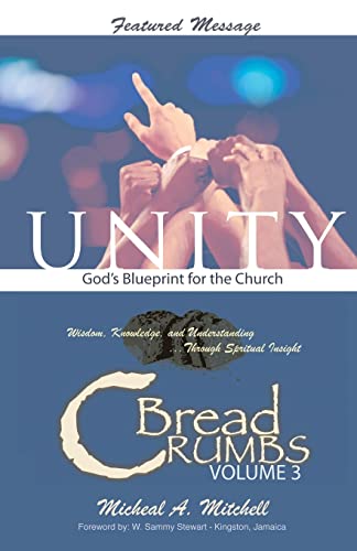 Stock image for Unity God's Blueprint for the Church for sale by Chiron Media