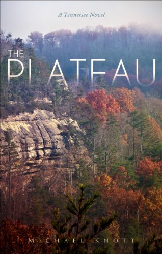 Stock image for The Plateau: A Tennessee Novel for sale by ThriftBooks-Dallas