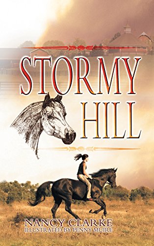 9781625164636: Stormy Hill