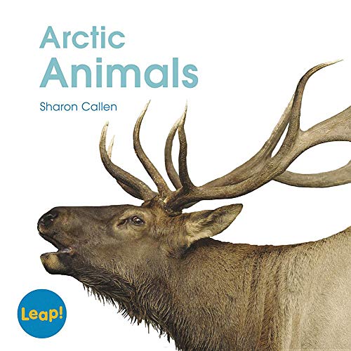9781625217073: Arctic Animals (Leap! Set C: Life Cycles)