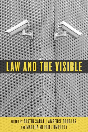 Imagen de archivo de Law and the Visible (The Amherst Series in Law, Jurisprudence, and Social Thought) a la venta por Books From California
