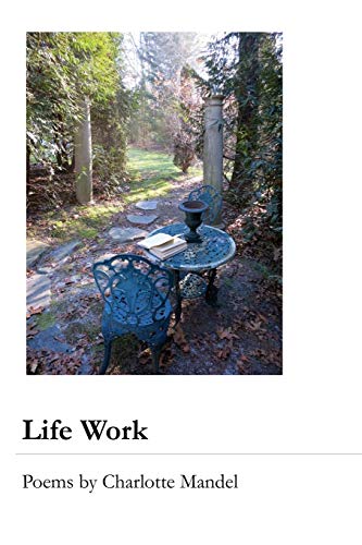 Stock image for Life Work for sale by Revaluation Books