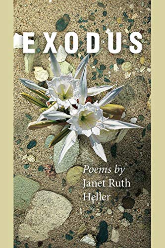 Stock image for Exodus: Poems for sale by GF Books, Inc.