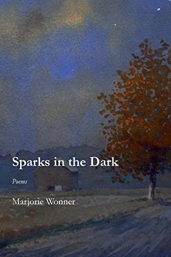 Stock image for Sparks in the Dark for sale by HPB-Diamond