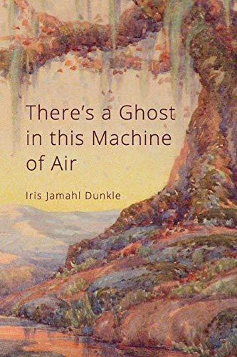 Imagen de archivo de There's a Ghost in this Machine of Air a la venta por Weird Books