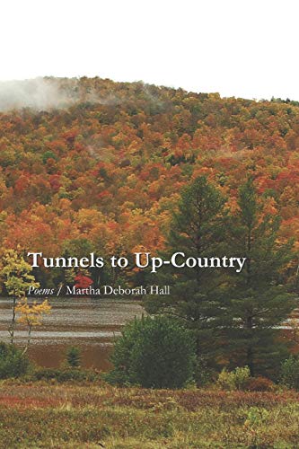 Beispielbild fr Tunnels to Up-Country zum Verkauf von Irish Booksellers