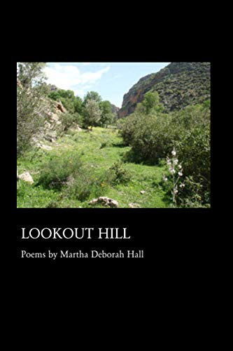 Beispielbild fr Lookout Hill zum Verkauf von THE SAINT BOOKSTORE
