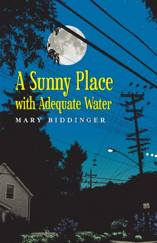 9781625579089: A Sunny Place with Adequate Water